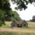 an unconverted barn in a field in Wiltshire, surrounded by countryside and nature, both inspirational and attractive